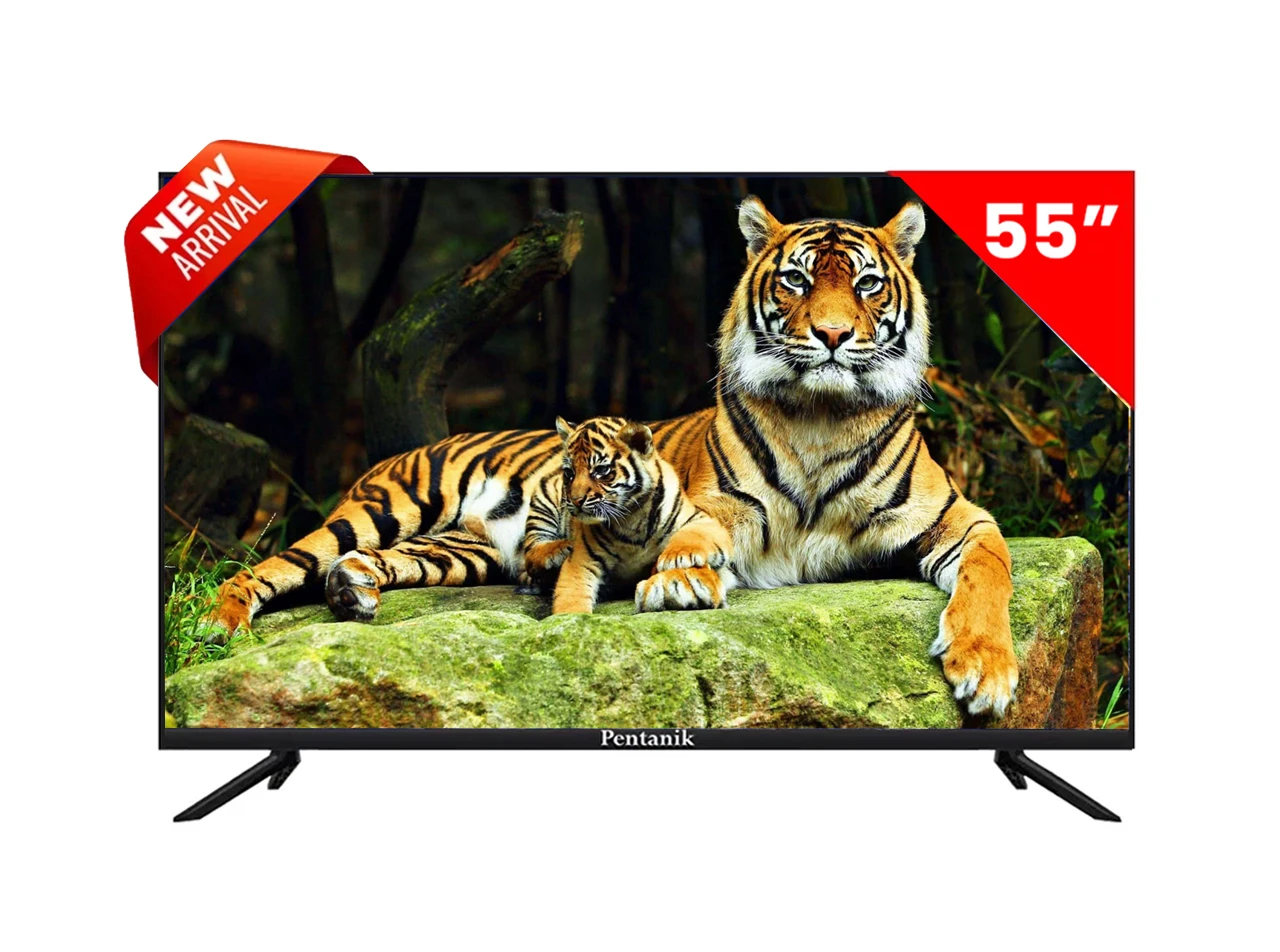 Pentanik 55 inch Smart Android 4K Voice Control TV (Special Edition 2025)